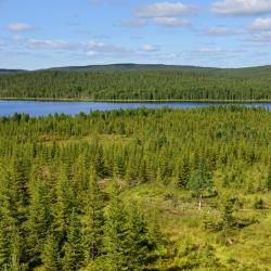 Lapònia finlandesa