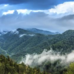 Great Smoky Mountains