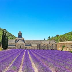 Provence