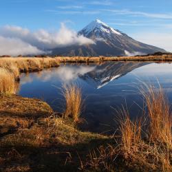 Taranaki