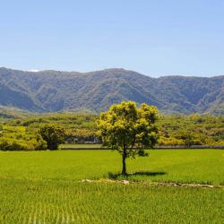 Taitung County