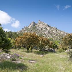 Sierra Norte de Madrid 151 obiektów na wynajem sezonowy