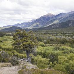 Chubut 5 glamping sites