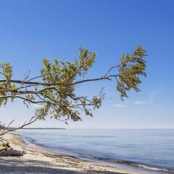 Fischland-Darß-Zingst 27 間B&B