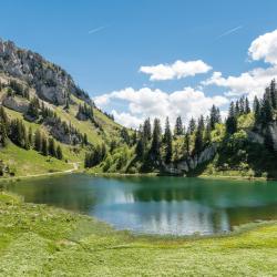 French Alps