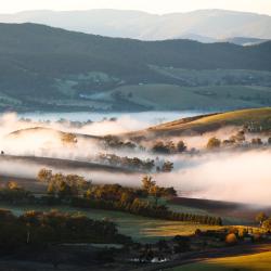 Yarra Valley 3 mikrohuse