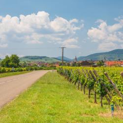 Alsace Wine Route