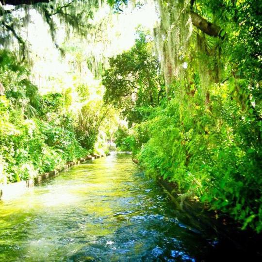 Scenic Boat Tour