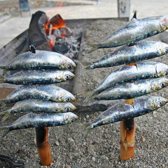 Grilled Sardines sa La Carihuela