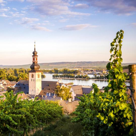 Rüdesheim am Rhein