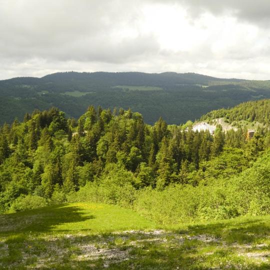 Haute Chaîne du Jura naturreservat