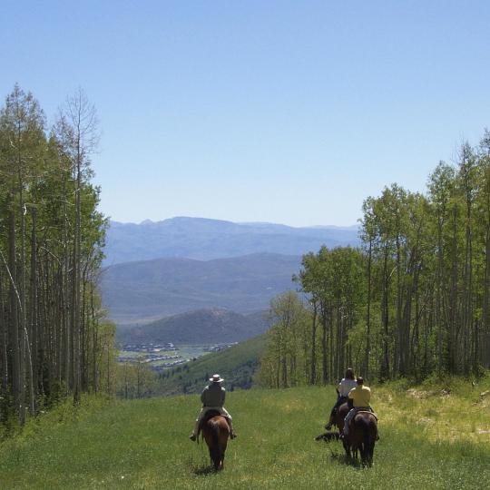 Horse riding sa Vosges Mountains