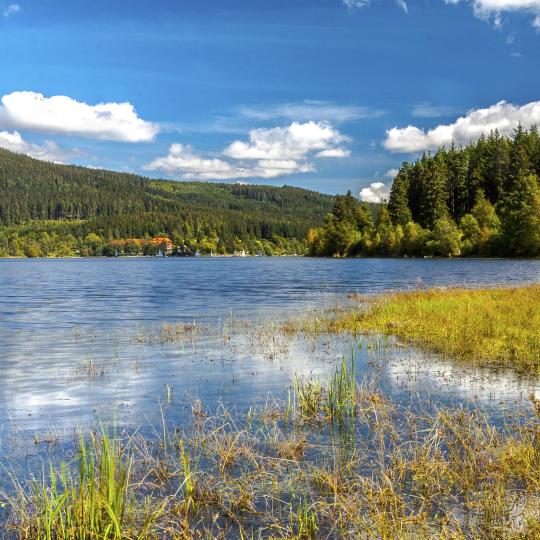 Foresta Nera meridionale: laghi, sorgenti termali naturali e orologi a cucù