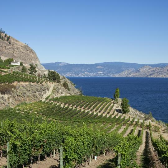 Okanagan Valley