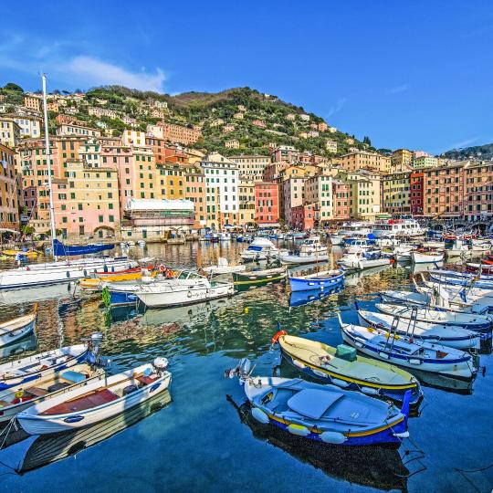 Manarola's fresh catch