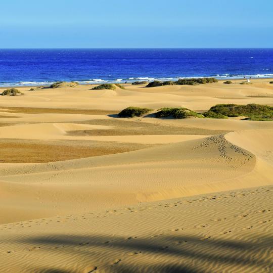 Maspalomas Dunes