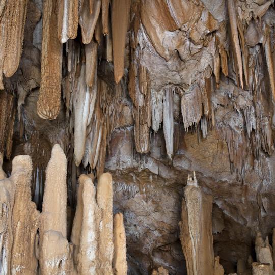 La Cueva de Petralona