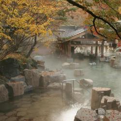 Hoteller med onsen  44 overnatningssteder med onsen i Gora Onsen 