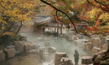 Toate proprietățile cu onsen