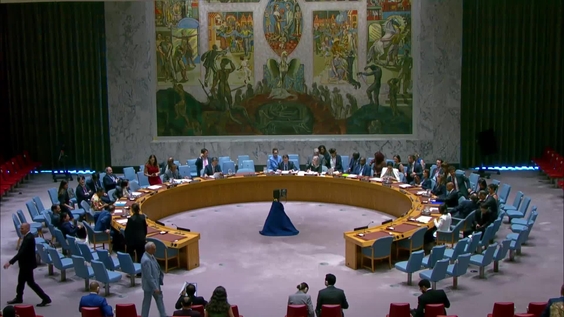 General issues relating to sanctions - Security Council, 9689th meeting