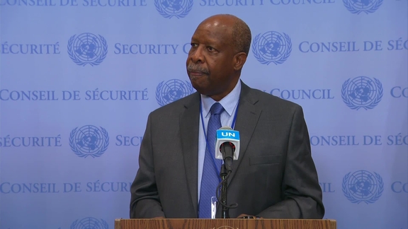 Leonardo Santos Simão (UNOWAS) on the situation in West Africa and the Sahel - Security Council Media Stakeout