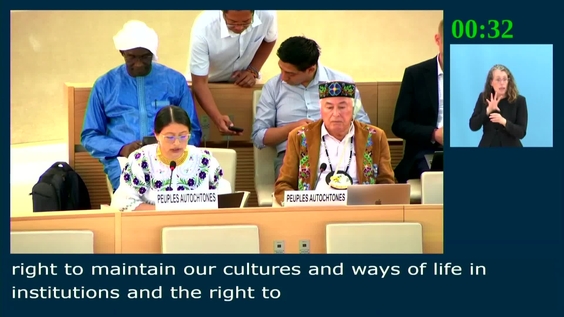 3rd Meeting, First Intersessional Meeting on the Participation of Indigenous Peoples - Human Rights Council