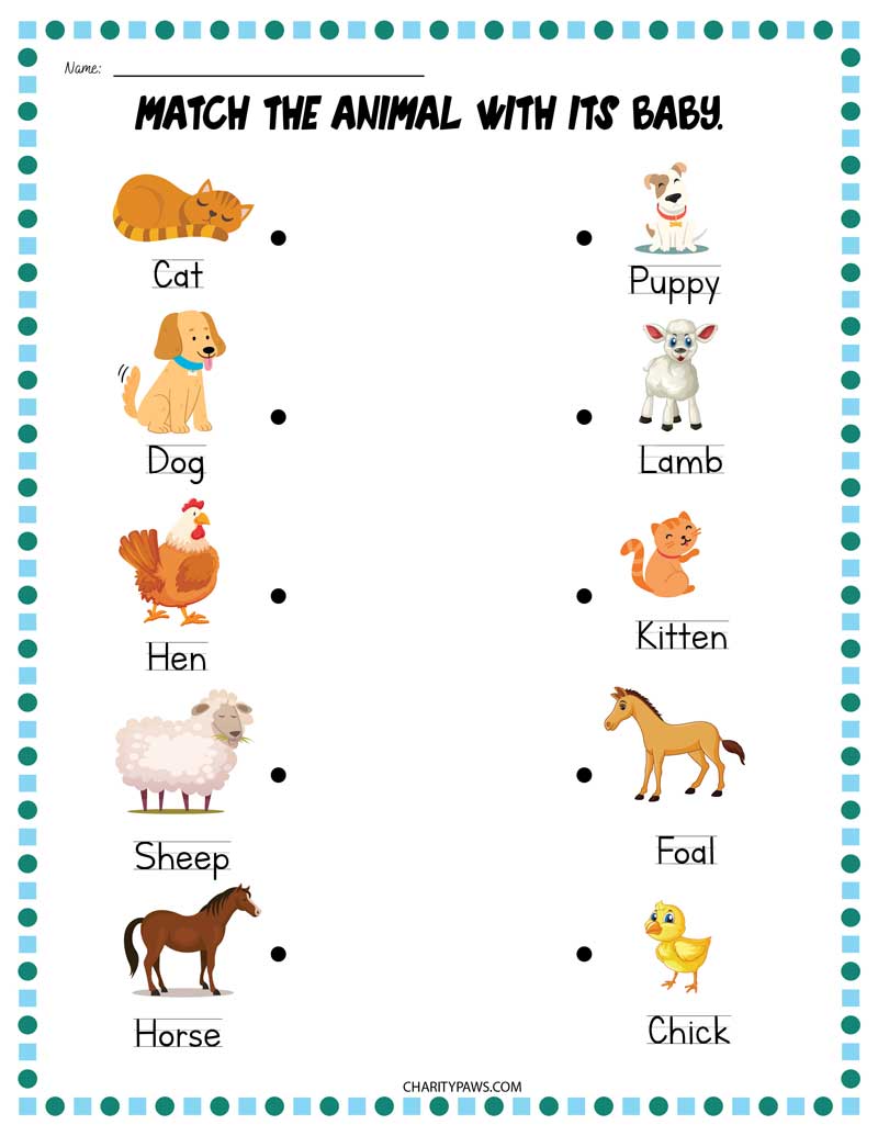 Animals And Their Babies Worksheets {Free 10 Page PDF}