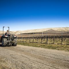 Person riding tractor on a farm under bright blue sky