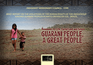 Brief Report on the violations of the Human Rights of the indigenous Kaiowá Guarani peoples in Mato Grosso do Sul – Brazil