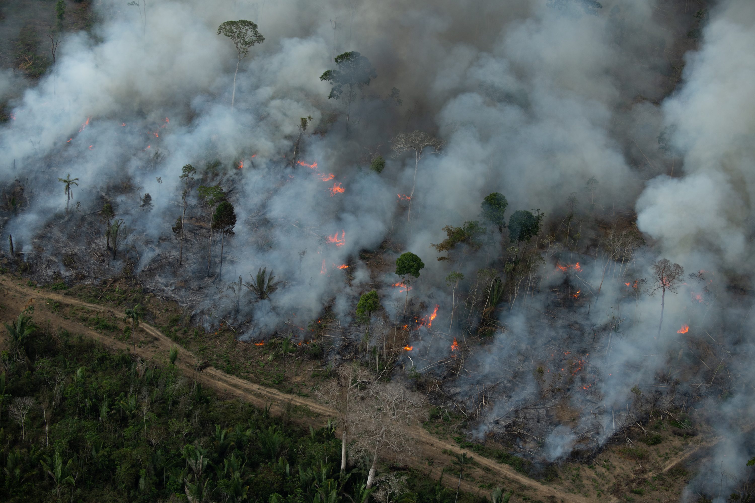 Moção de apoio aos povos indígenas de Rondônia