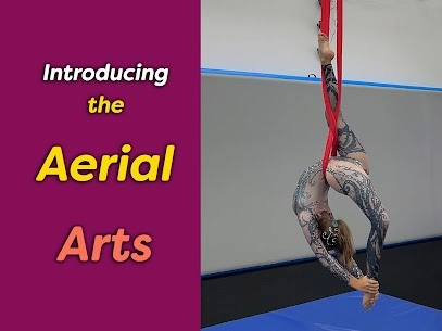 Image of an aerial silks performance. Photo for Cirque Art Studio, North Miami Beach, FL.