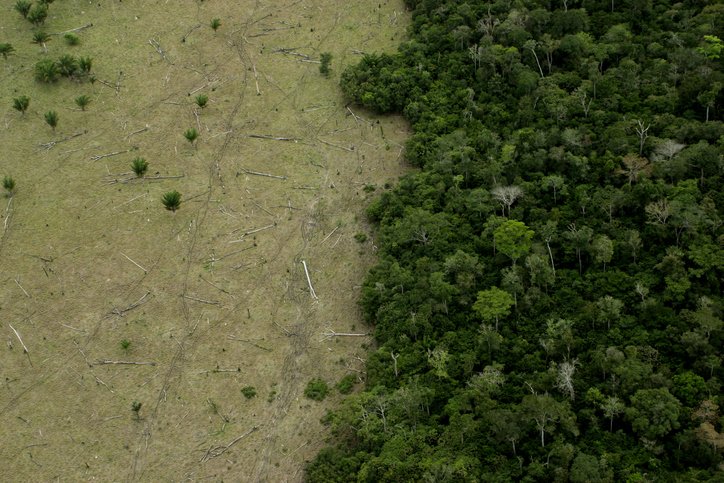 Queda no desmatamento da Amazônia leva Brasil a menor emissão em 15 anos