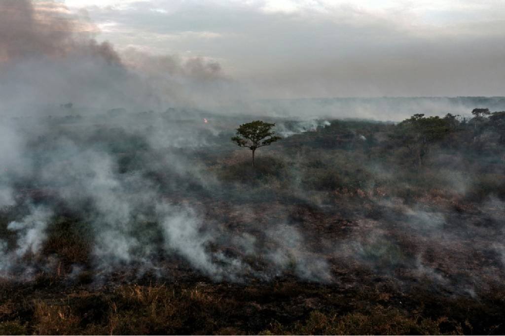 Extremos de temperatura e umidade podem alterar emissão e captação de metano na Amazônia