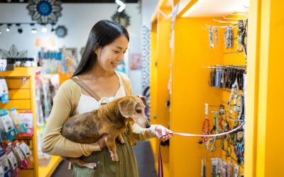 Unlocking the Potential of the Pet Franchise Industry