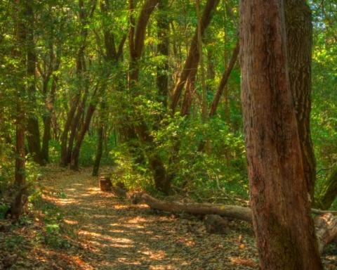 San Mateo County to reopen trails in 13 of its 23 parks on May 4