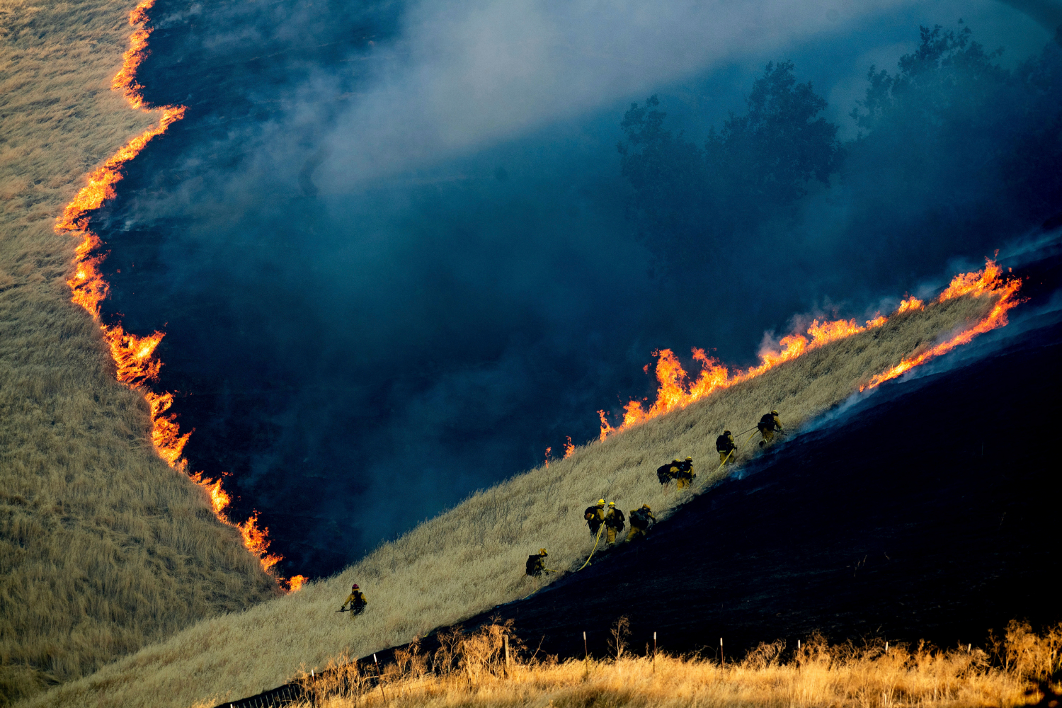 Climate Visuals Joins World Press Photo House Livecast #2