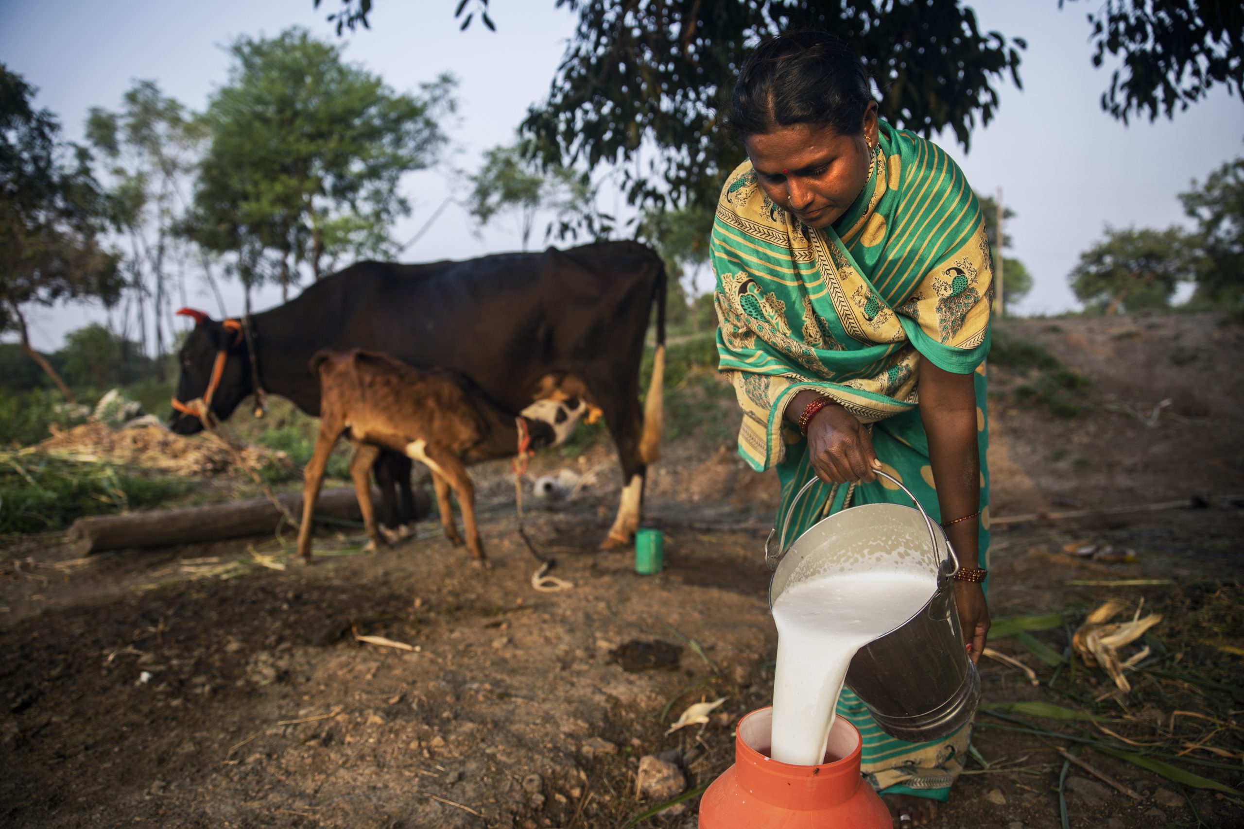 Visualizing Climate Change: An Open Call for Photography