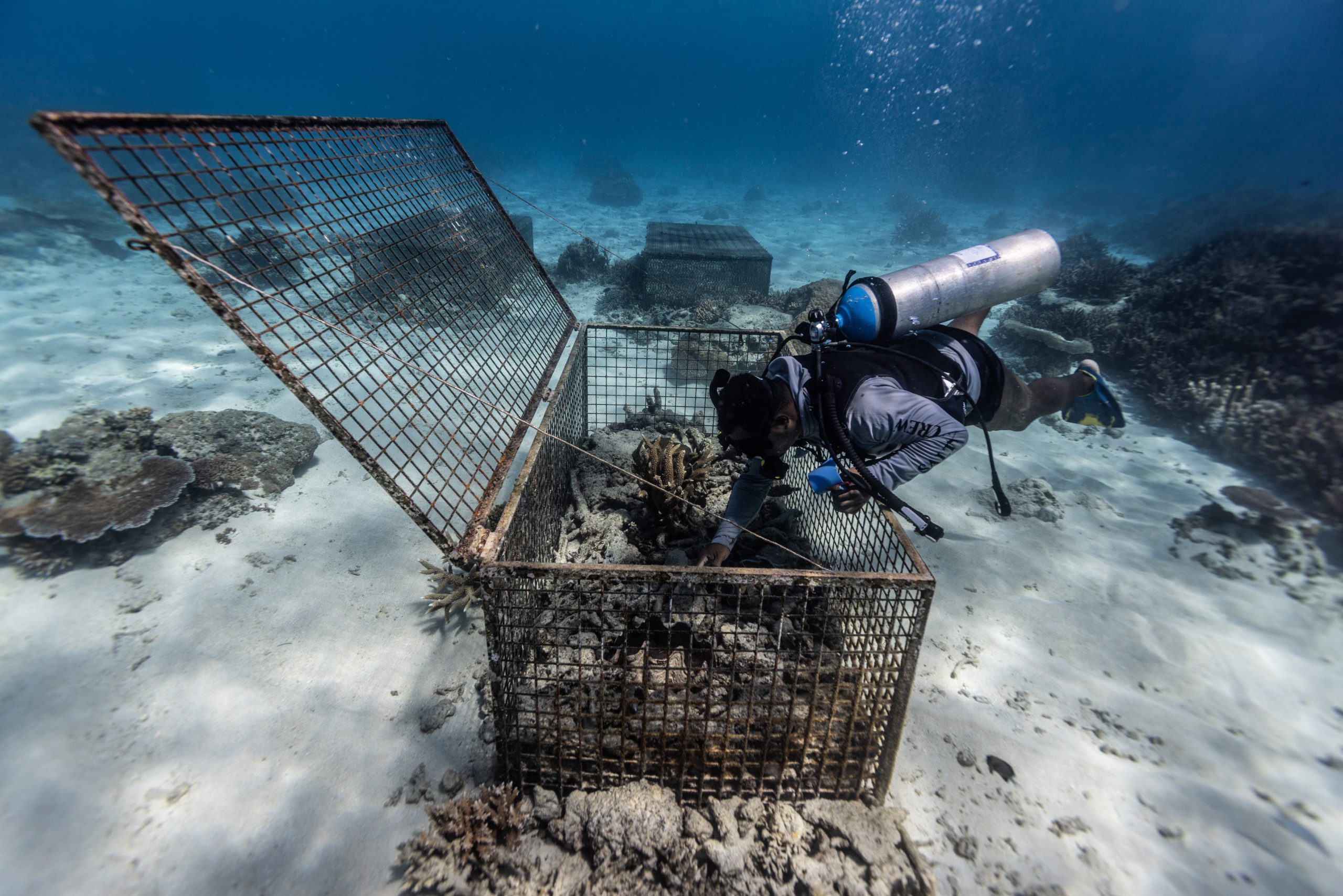 Ocean Visuals collection featured in The Guardian