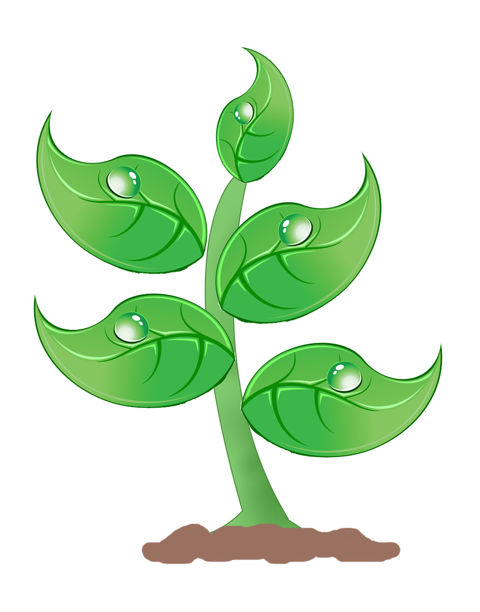 Plant Clip Art Free ~ Plant Clip Art | Bodemawasuma