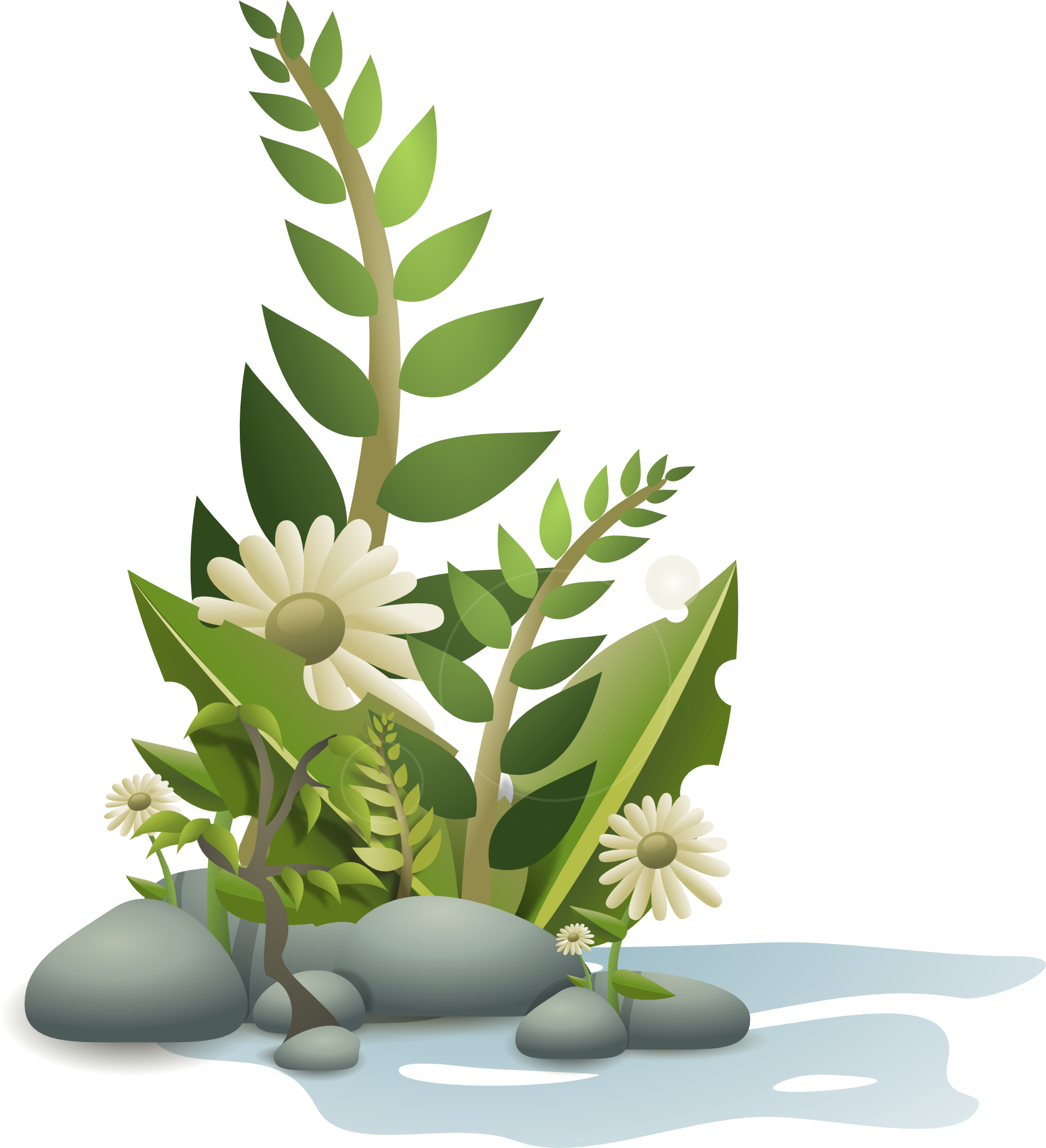 Green Plant Clip Art