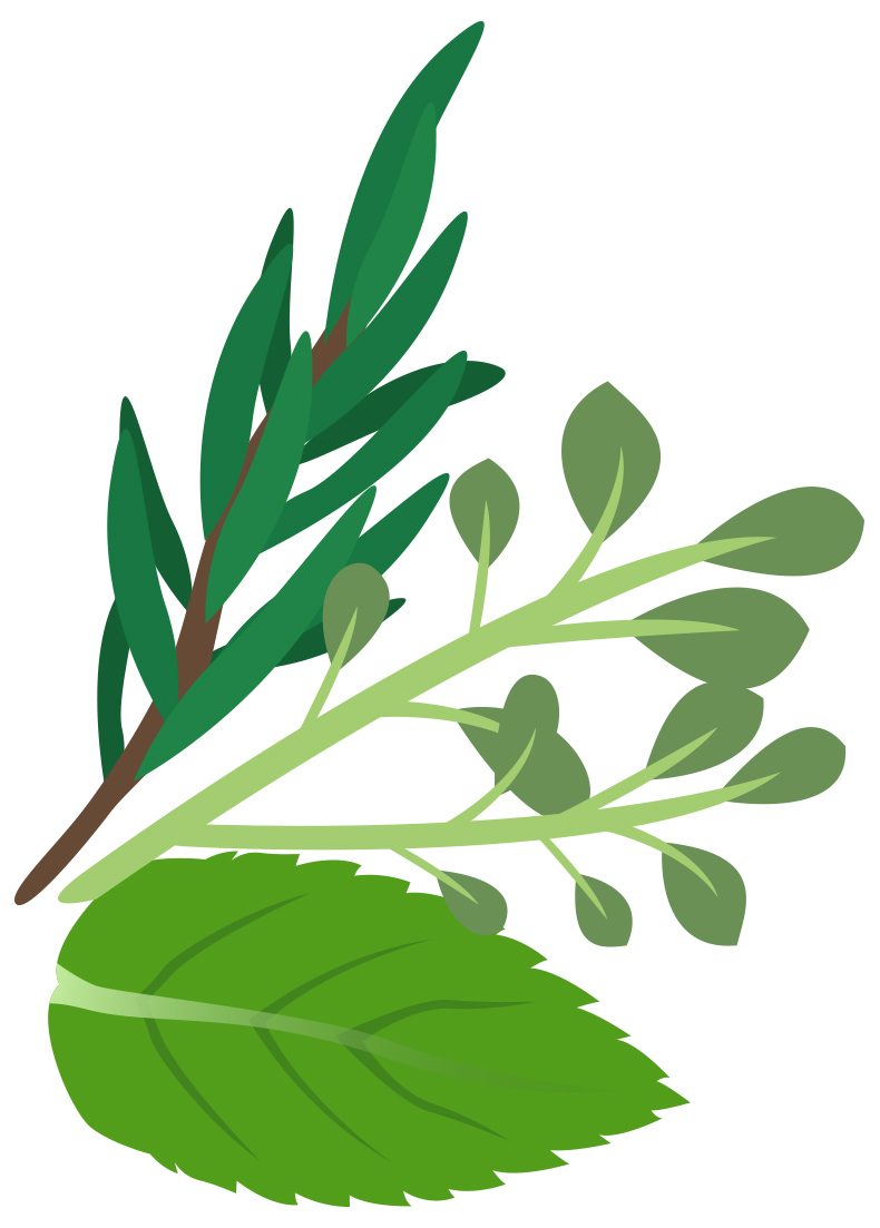 Herbs Clipart Clipart Of The Herb Clary Classroom Clipart | Images and ...