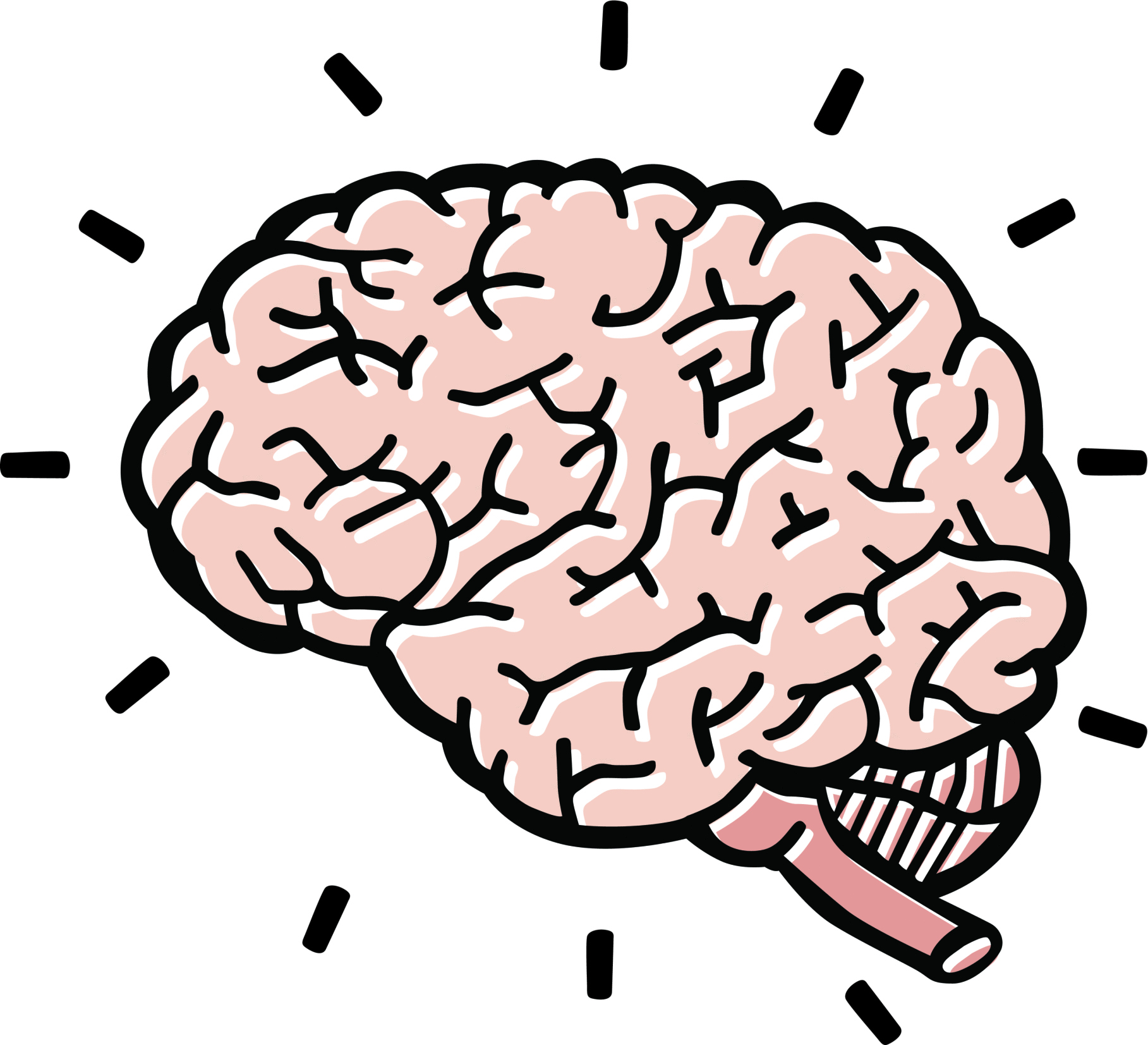 Brain clipart 4