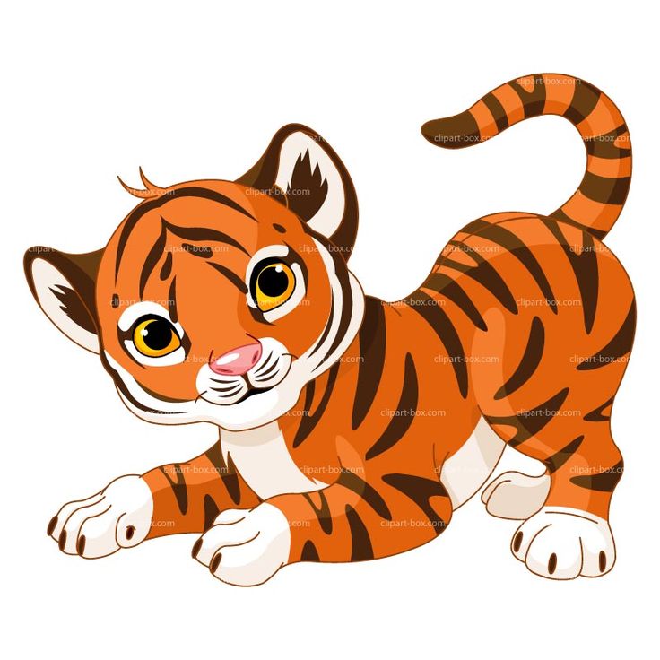 Cartoon baby tiger clipart