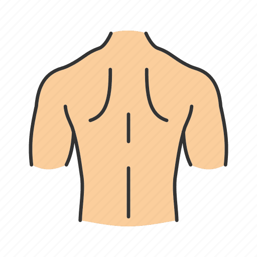 Back body part man muscular neck shoulder spine clipart free