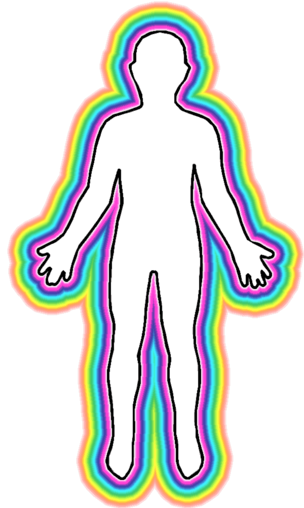 Blank human body template clipart best transparent