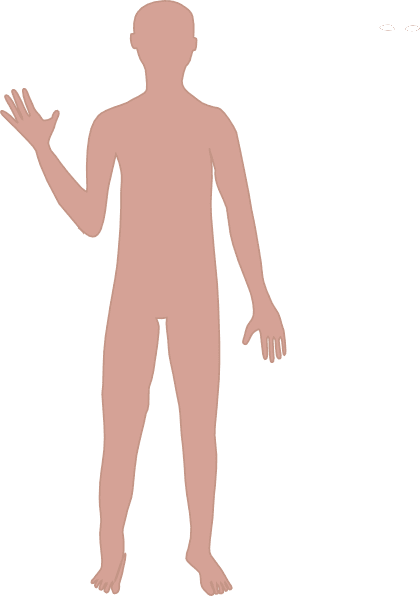 Male body clipart vector line