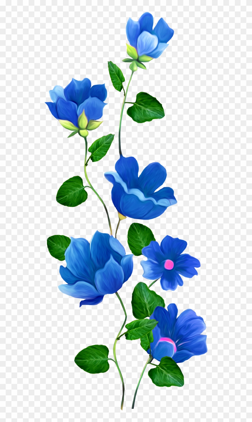 Flower clipart border blue pictures on Cliparts Pub 2020! 🔝