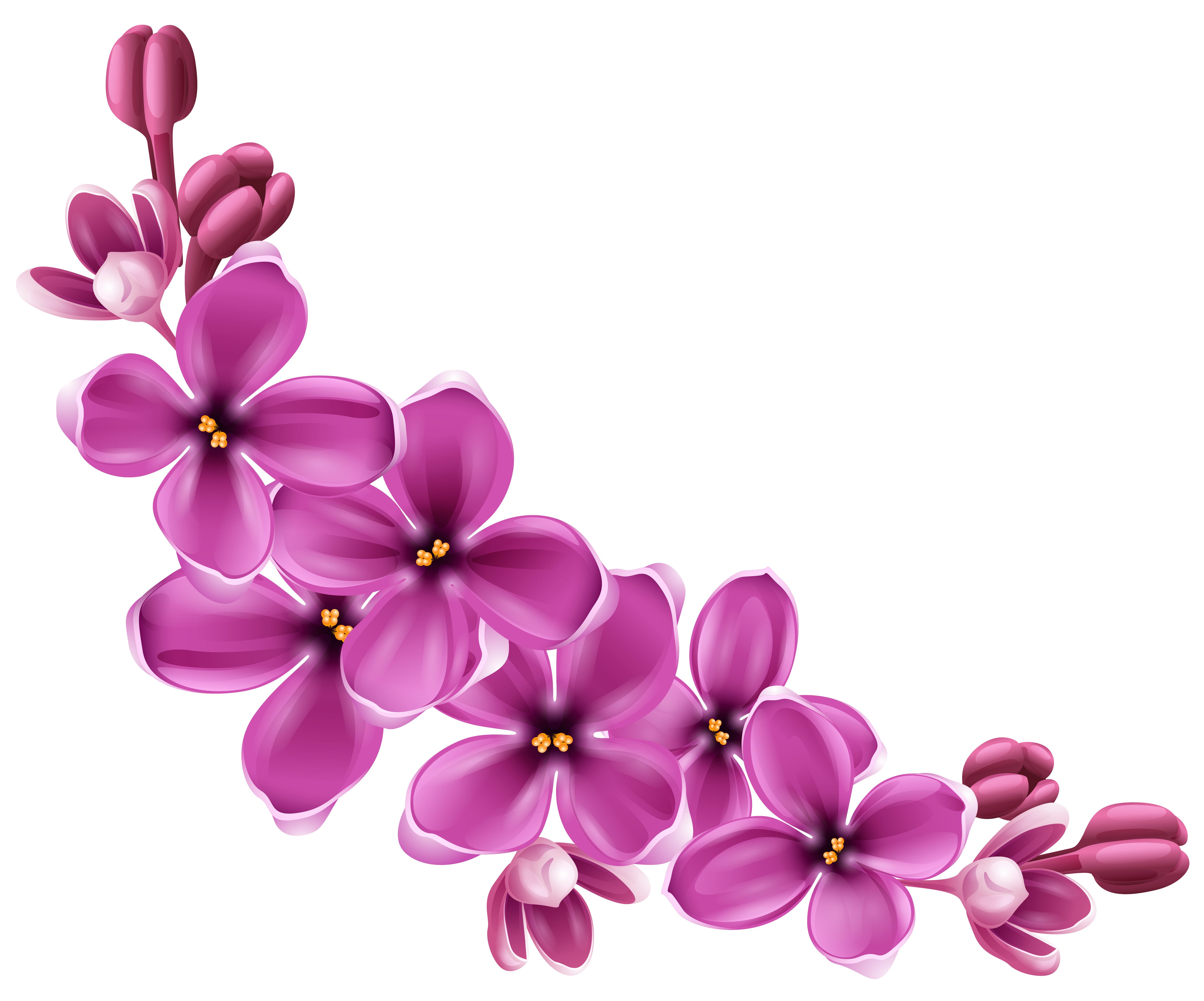 Spring Pink Floral Decor PNG Picture Clipart.