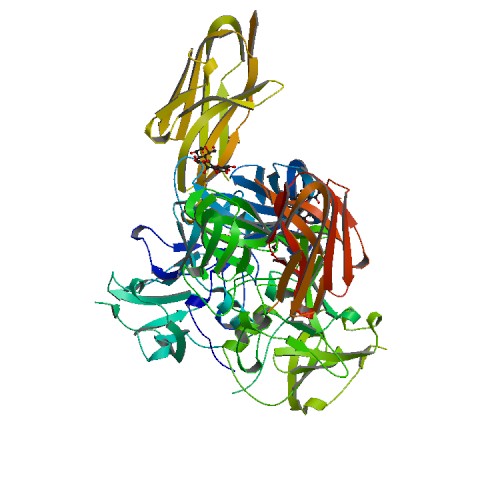 RCSB PDB.