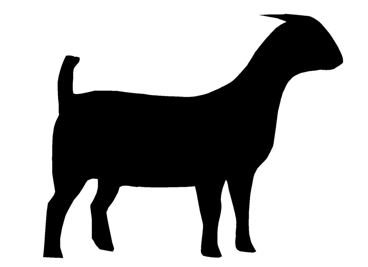 Boer Goat Silhouette.